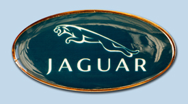 Jaguar small